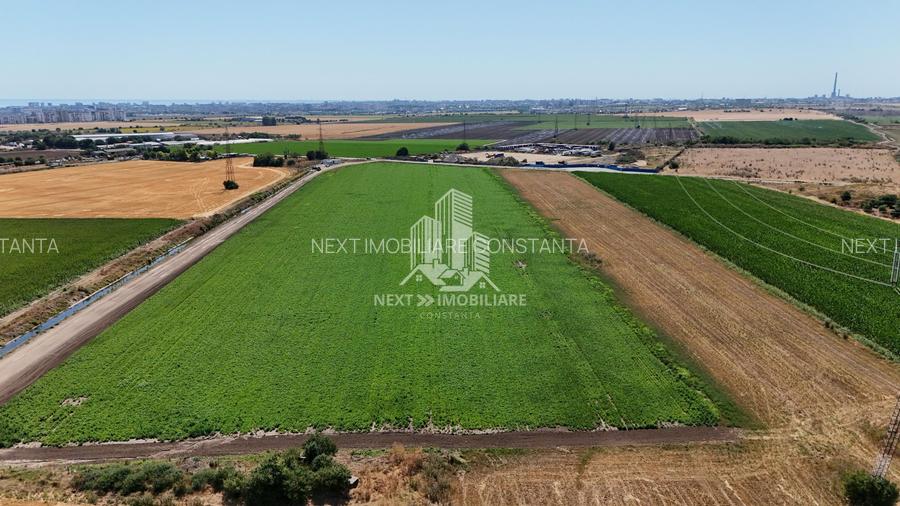 Teren extravilan 28.405mp Poiana - 4