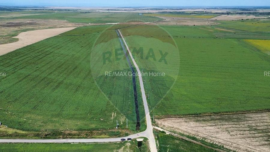 Fermă vegetală 148 ha și sediu fermă Mãicãnești ! - 3