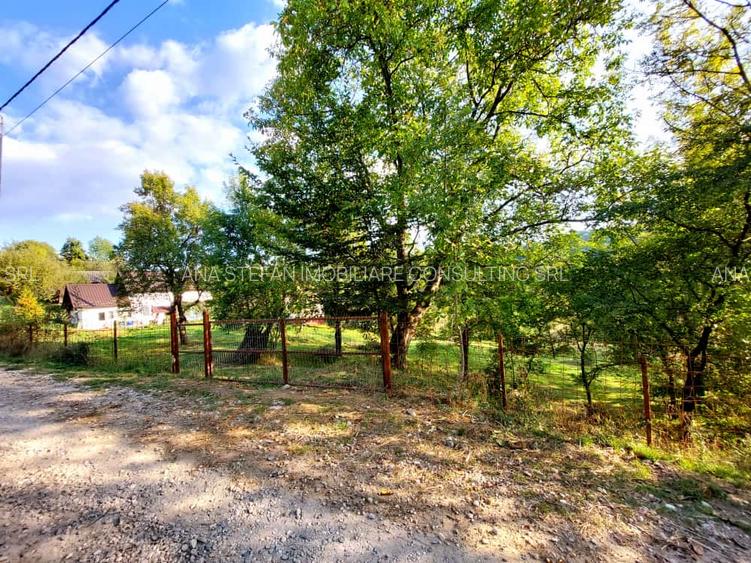 Teren intravilan+extravilan / Corbeni-Arges - 7