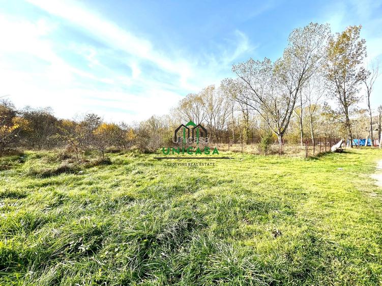 Teren Dem Radulescu 1092mp - 4