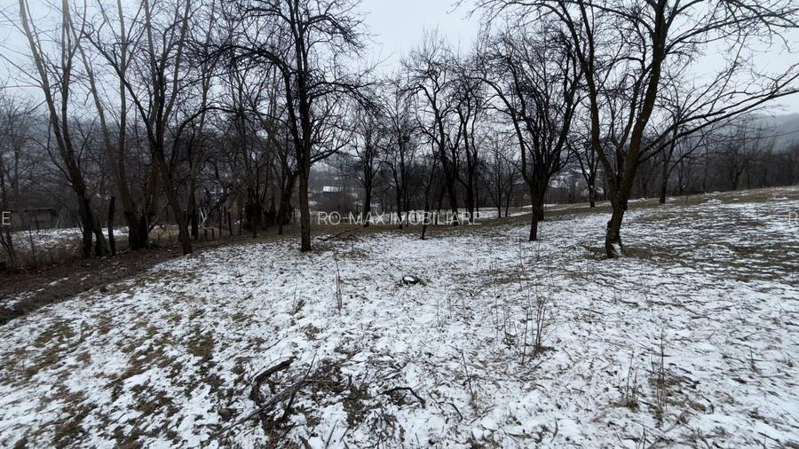 Teren 4652 mp cu izvor pe el, Lunca Mare, lângă păstrăvăria Doftana - 9