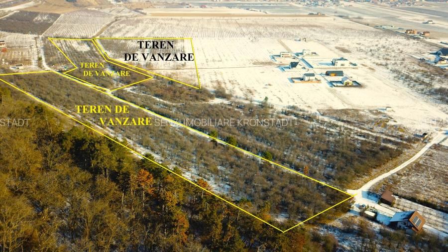 Terenuri in Livada Noua Sanpetru langa Dealul Lempes - 3