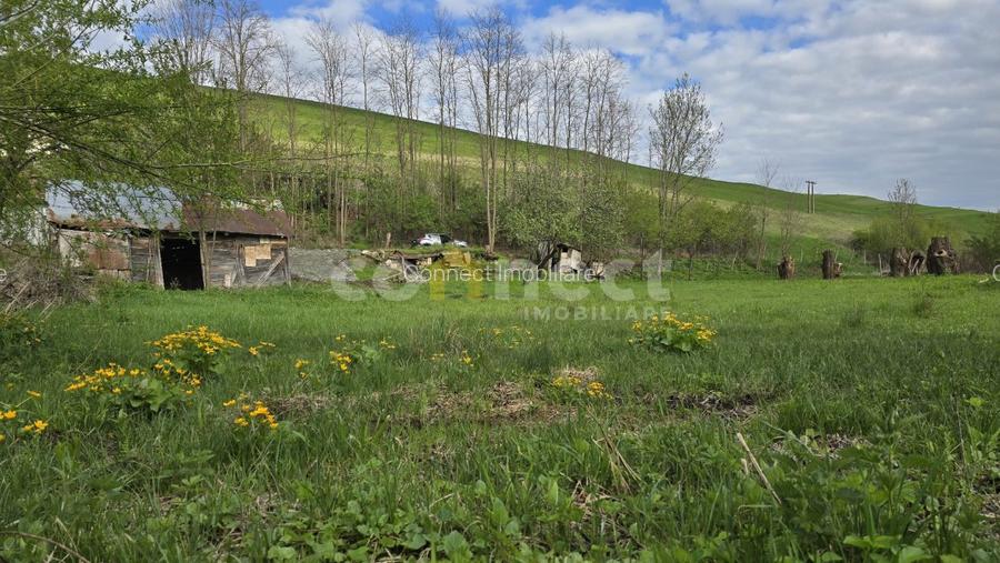 De vânzare teren superb în Ciurila ~ 5000 mp de liniște, verdeață și potențial - 6