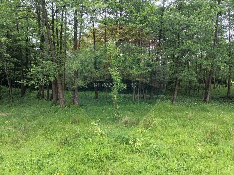 Vânzare casa la munte - zona turistica - Baia de Fier - 31