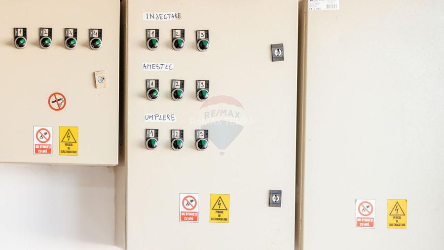 BUSINESS DE VANZARE Plantatie de afin din Romania - 15