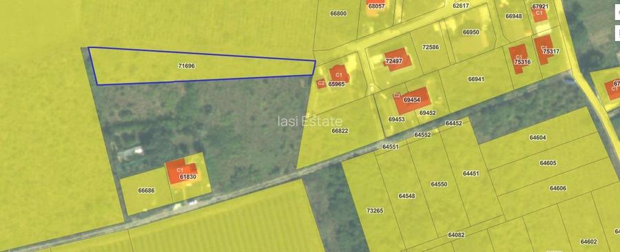 Visan str Valea viilor TEREN 1616mp intravilan lot pt constructie casa - 3