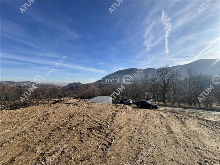 Teren intravilan de 1641 mp cu PUZ aprobat si utilitati in Cisnadioara - 13