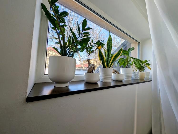 Cocheta,renovata 2024, P+M,in zona linistita de case,strada lata,teren generos - 7