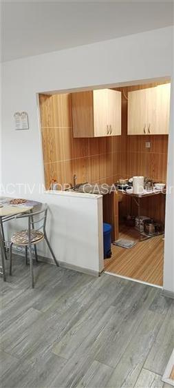 Moldova Noua, Garsoniera 25, 09 mp – gata de mutare! - 13