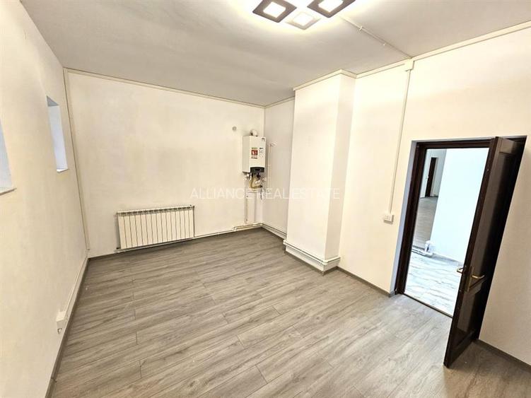 Pietonal Stefan cel Mare, spatiu pentru servicii - 2