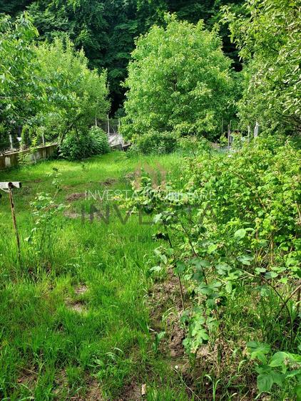 Teren la liziera padurii! - 3