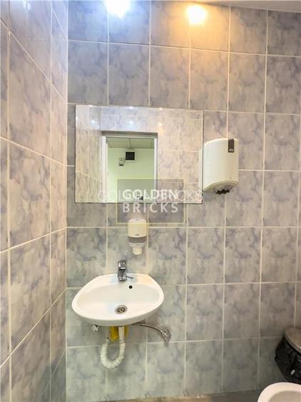 Piata Victoriei | Metrou 5 ''| Casa Individuala - 6
