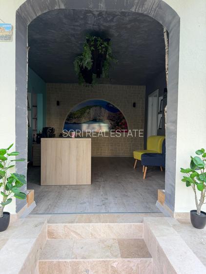 Spatiu Comercial, 39 mp, B-dul Alexandru Vlahuta - 3