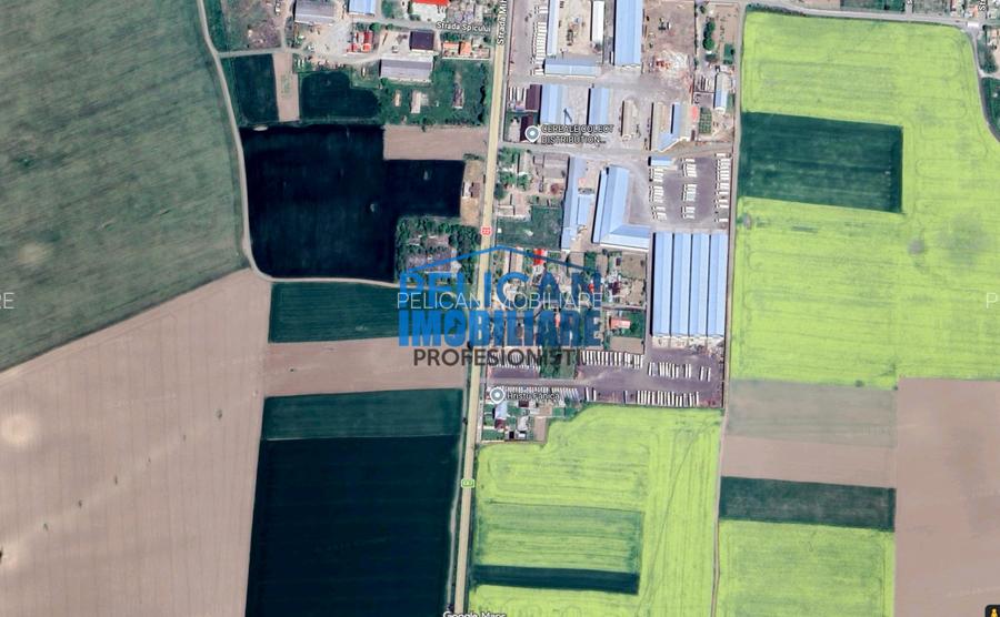 Teren intravilan M. Kogalniceanu, 4000MP, la drumul national - 13