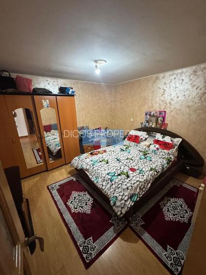 Casă P+M pe strada Tineretului - 6