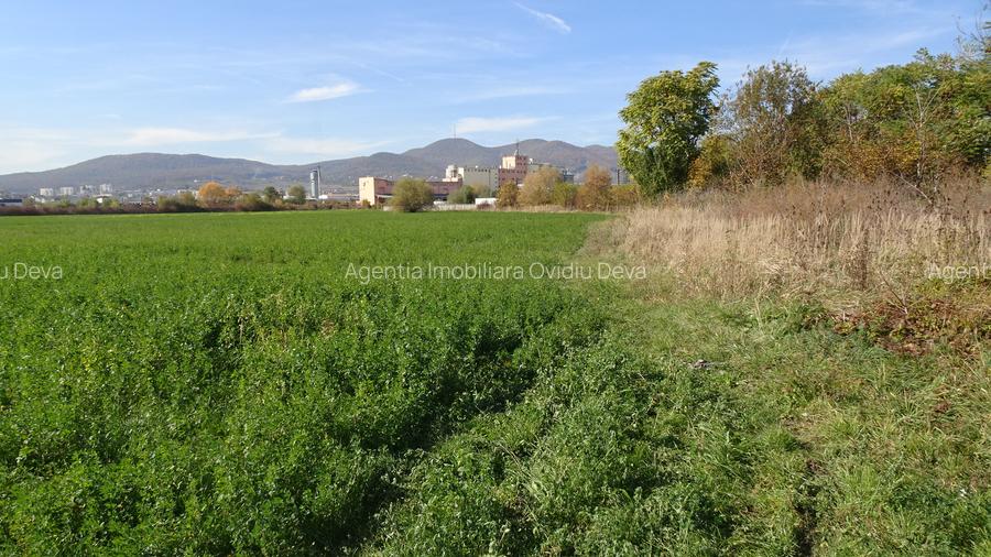 Vand teren intravilan in Deva suprafata totala 43 000 mp, zona Auchan - 3