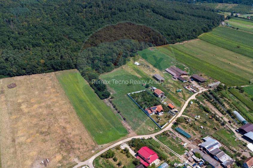 Teren intravilan Balata /Hunedoara - 2