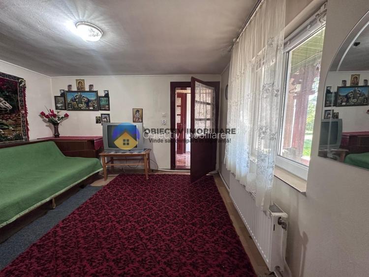 Casa tradițională de vânzare - Alexandru cel Bun - 15
