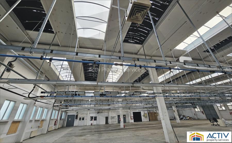 Hala de inchiriat Cisnadie Sibiu - 4