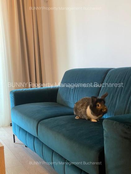 Novum Politehnica | 2 Rooms | MS077 | Terrace - 4