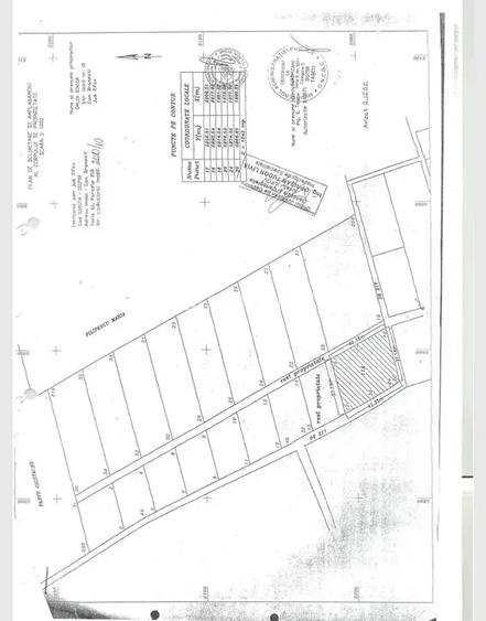 Teren intravilan 1543 mp – zonă verde, P+2E, utilități - 3