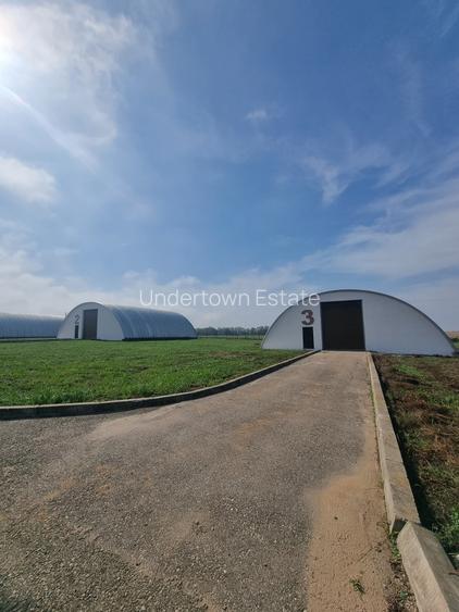 Industrial PARK for Sale – 4 Warehouses with Land, Near Bucharest (INTRAVILAN) - 21