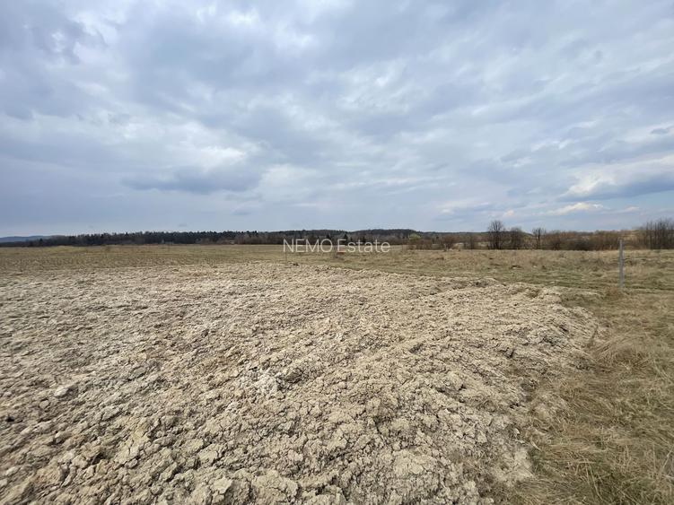 TEREN EXTRAVILAN | 23 ARI | HORODNIC DE SUS - 6