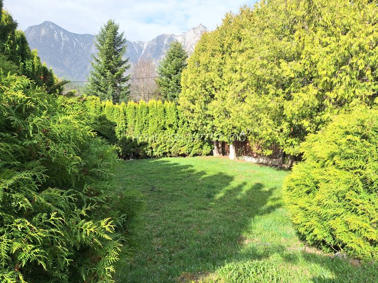 Vila Zamora, Busteni - 25