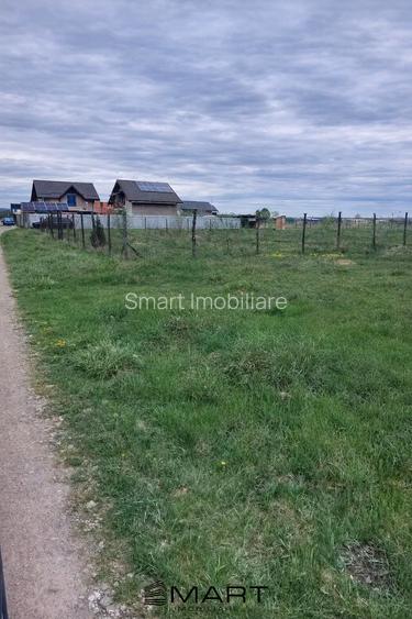 Teren Intravilan 1000 mp Harman - 3