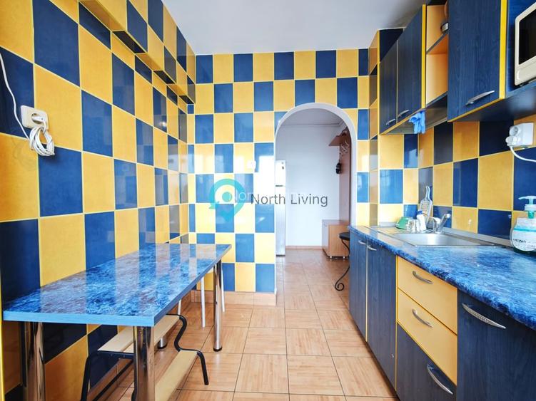 Apartament 3 camere, 68 mp, renovat, Câmpia Libertății - 12