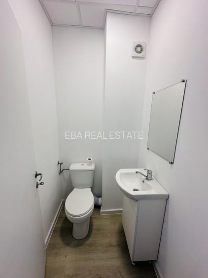 Hala industriala nouă ,499 mp construiti, zona Rudeni-Chitila, Centura Vest - 10