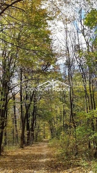 VILA D+P+E+M, 12 camere, piscina , padure, IANCU NICOLAE - 45