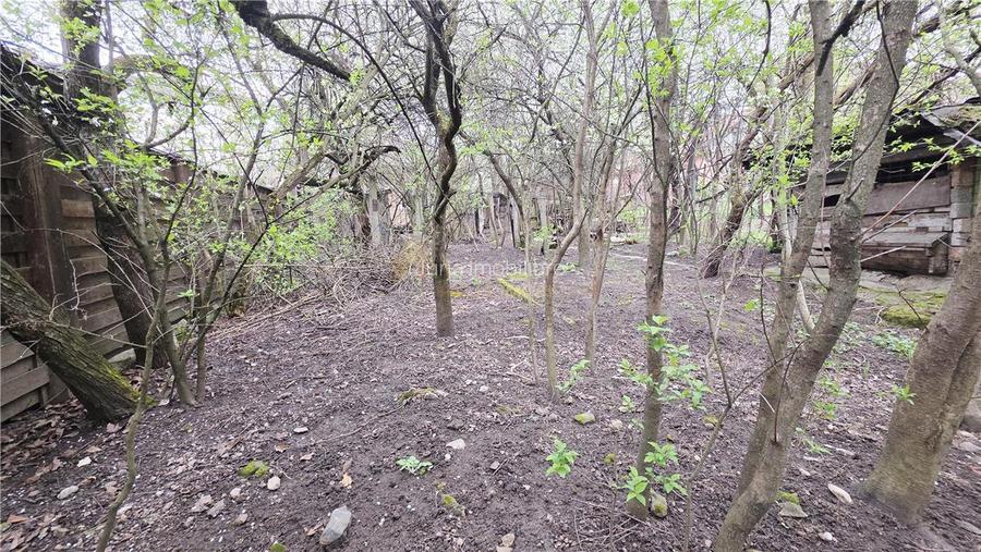 CASA 136 MP TEREN 561 MP FRONT 14 ML ZORILOR  MARINESCU - 8