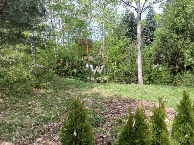 Teren Extravilan situat la intersectia DN1 cu Transfagarasan - 4