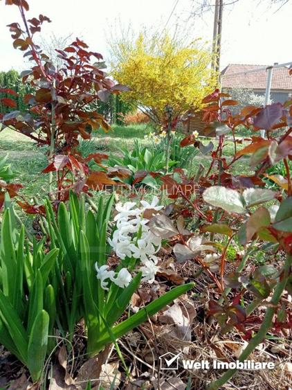 Ocazie! Teren intravilan cu utilități  in Aiton la 30 min. de centru Cluj-Napoca - 7