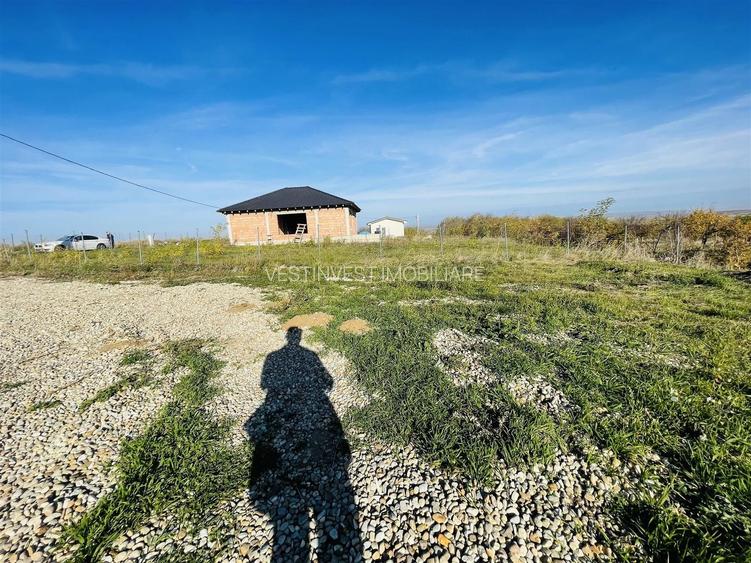 Teren intravilan de vanzare cu dublu front Cetariu - 6