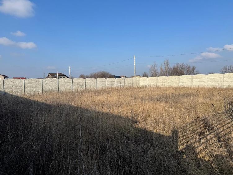 CORBEANCA, OSTRATU, TEREN 700 mp - 5