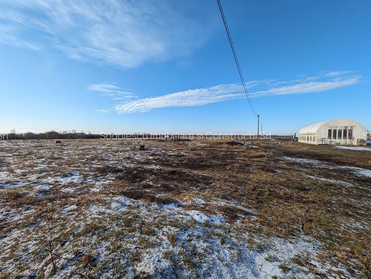 Hala cu teren generos langa acces A1 - 22