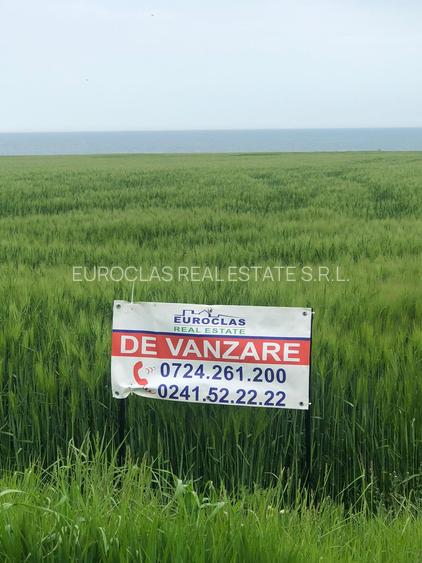 Teren 17.000mp Costinesti - zona Manastire - 100 euro/mp (Cod E2) - 2