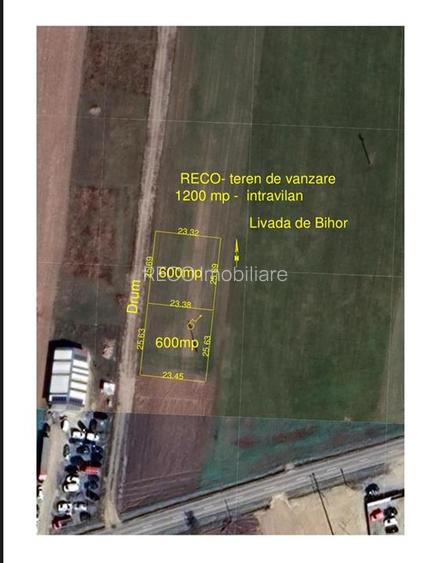 RECO Teren intravilan 1200mp -Livada de Bihor - 9