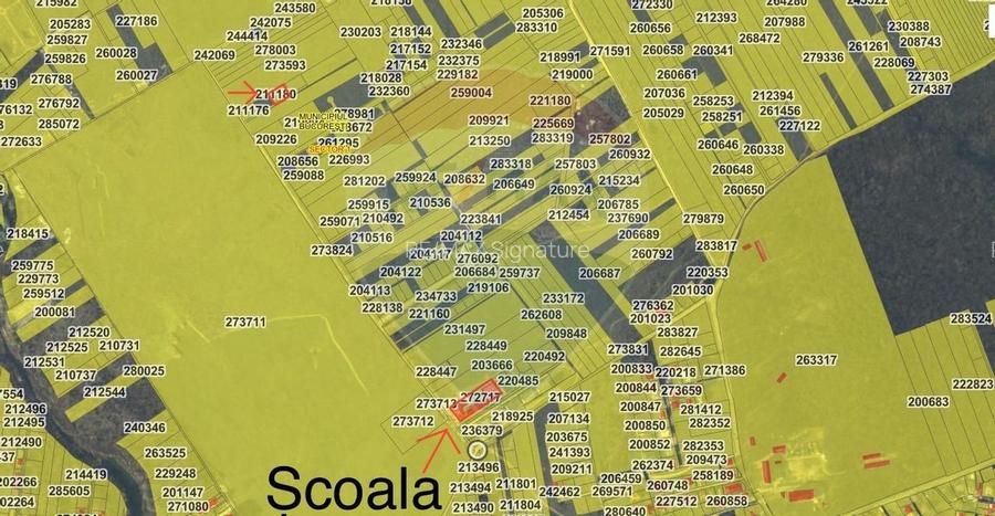 DE VANZARE Teren intravilan 600mp Drumul Piscul Mosului SISESTI - 4