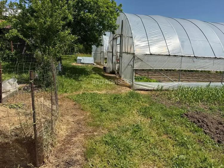 Casa cu 4000 mp teren, Letca Noua, Giurgiu — 1h de București - 16