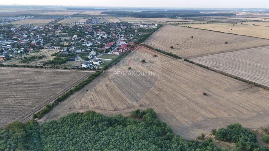 Teren investitie, intravilan Tamasi / Buftea - 3