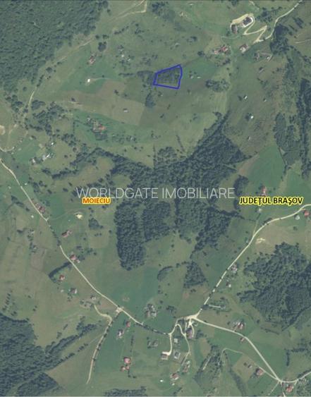 VÂNZARE TEREN CU POTENȚIAL DE DEZVOLTARE ÎN ZONA TURISTICĂ MAGURA-PESTERA - 2