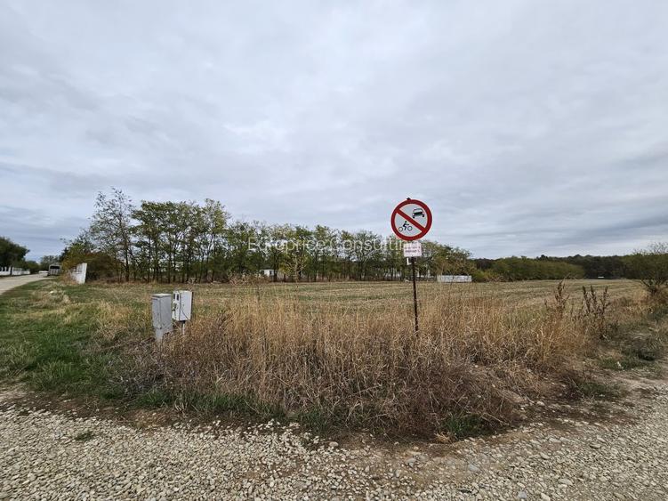 SNAGOV  TANCABESTI- STRADA MIHAI EMINESCU - 6