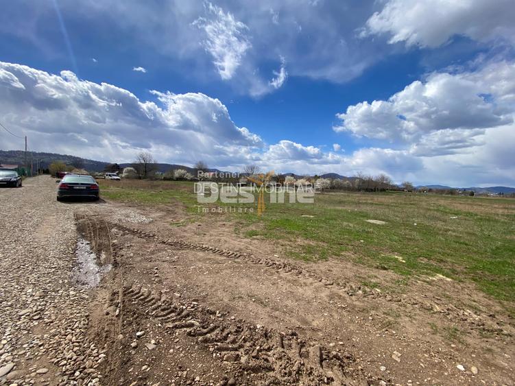 Teren de vanzare Dumbrava Rosie 20.000 Euro 900mp - 4