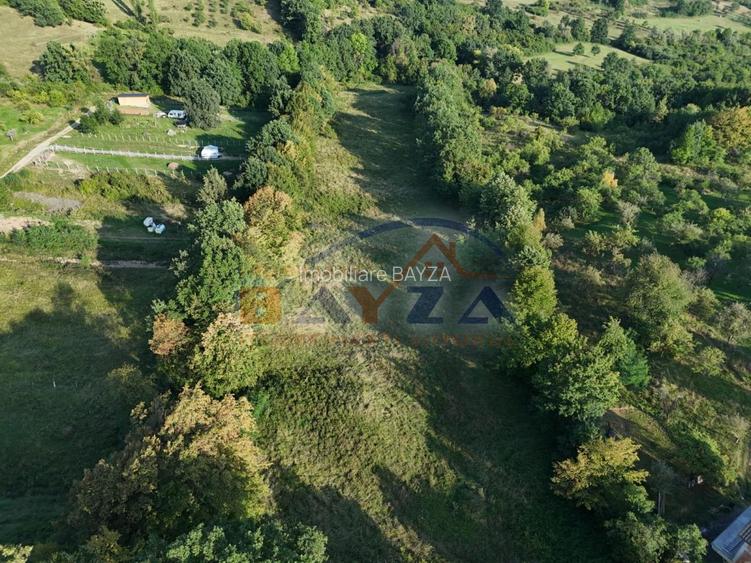 Vanzare teren, intravilan Baia Sprie – Strada Salcâmului, priveliște deosebită - 3
