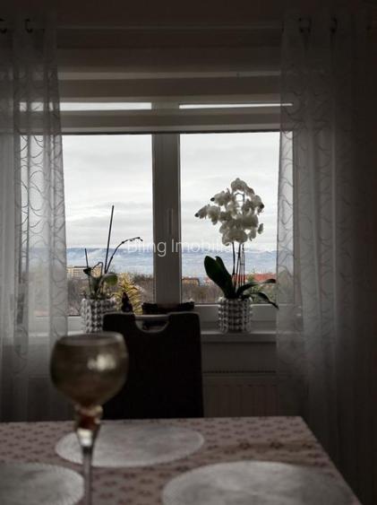 Vila /Casa cu potential in Faget ,510 mp utili - 9