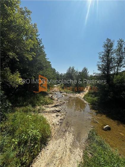 Ansamblu cabanute zona Cozieni - 33