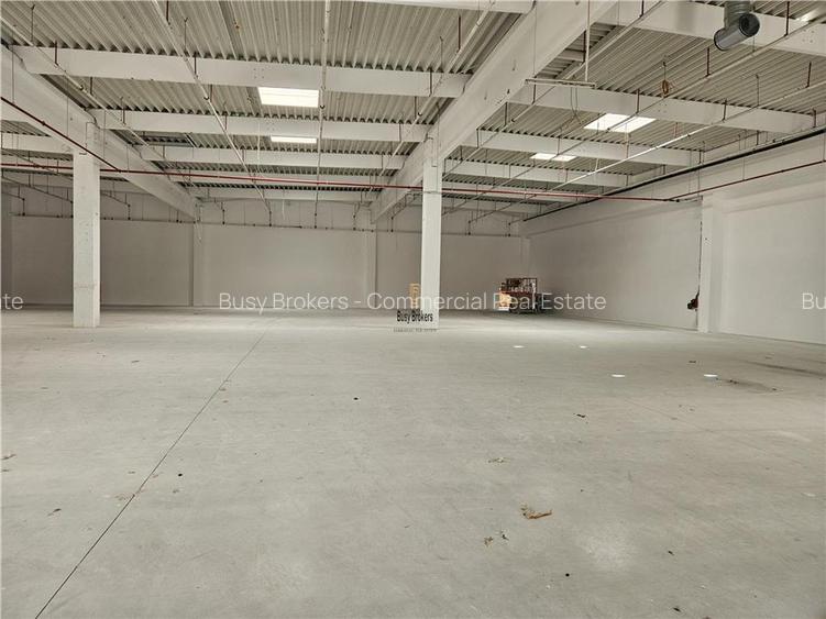 Spatiu Industrial - 2300 mp - Productie - Depozitare - Distributie - 4